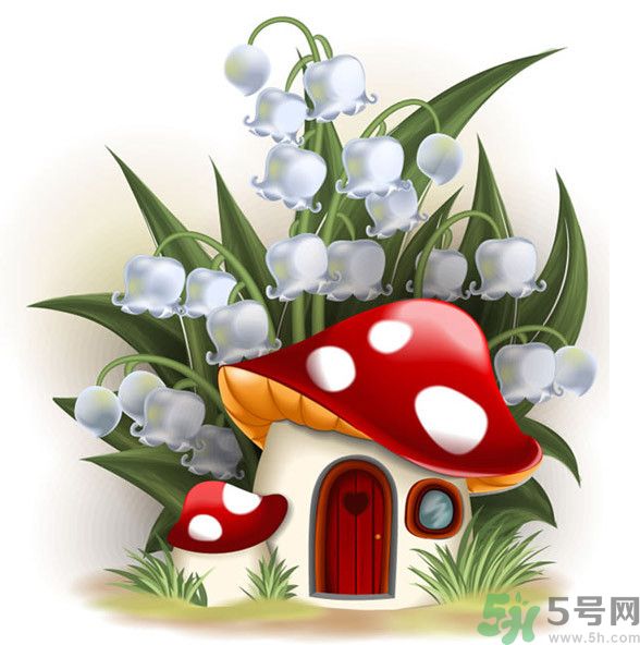 吃蘑菇可以喝酒嗎？吃蘑菇喝酒會中毒嗎？