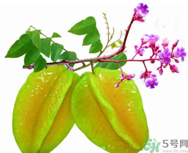 慢性腎炎可以吃楊桃嗎？慢性腎炎吃楊桃好嗎？