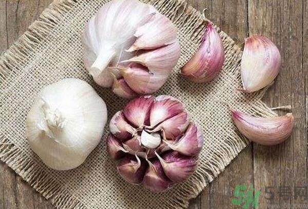 提高記憶力要吃什么食物？吃什么食物提高記憶力？