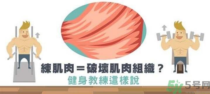 練肌肉會破壞肌肉組織嗎？練肌肉要注意什么呢？