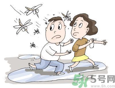 被蚊子咬很癢怎么辦？被蚊子咬要怎么止癢？