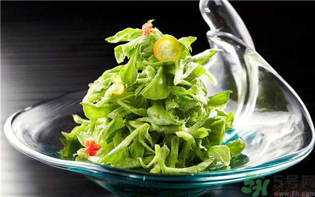 什么是冰草？冰草有什么作用？