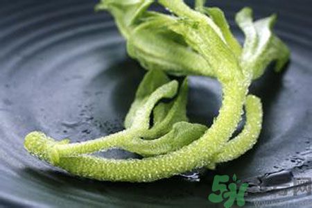 冰草好吃嗎？冰草怎么做好吃？