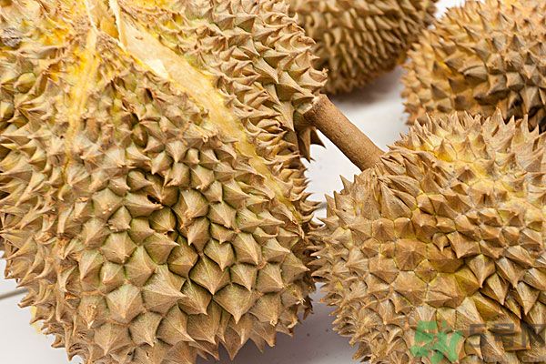 吃榴蓮會上火嗎？榴蓮是發(fā)物嗎？