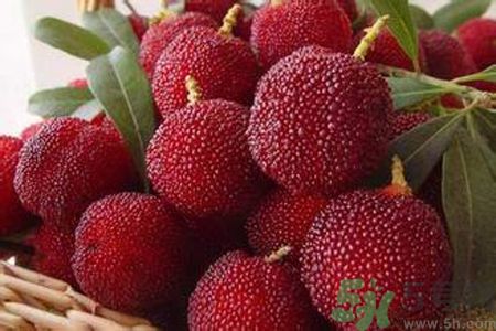 胃潰瘍可以吃楊梅嗎？胃潰瘍吃楊梅好嗎？