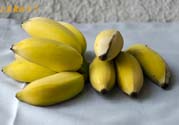 牛奶蕉可以減肥嗎？牛奶蕉怎么吃減肥？