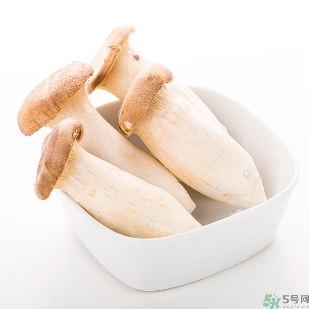 吃杏鮑菇有什么好處？吃杏鮑菇對身體好嗎？