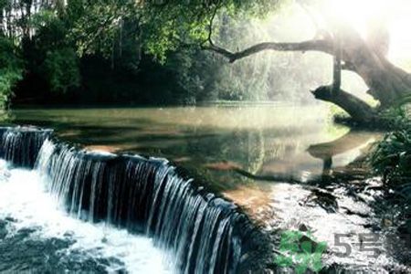 為什么夏至有雨三伏熱？夏至有雨三伏熱是什么意思？