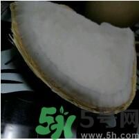 椰子可以放冰箱嗎？椰子放冰箱容易壞嗎？
