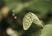 夏至有什么習俗？夏至吃什么傳統(tǒng)食物？