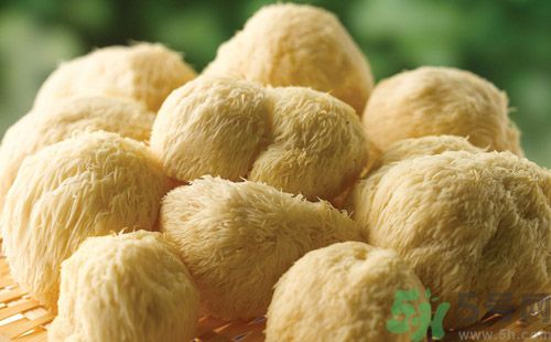 吃猴頭菇有什么好處？猴頭菇有什么營養(yǎng)價值？