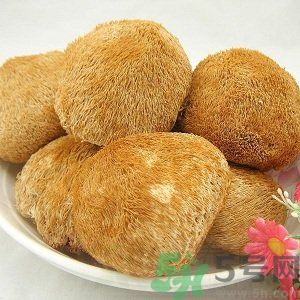 吃猴頭菇有什么好處？猴頭菇有什么營養(yǎng)價值？