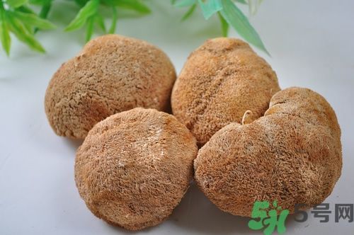 猴頭菇粉怎么做？猴頭菇餅干怎么做？