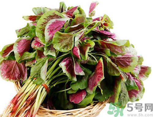 補血吃什么蔬菜好？吃什么蔬菜可以補血？