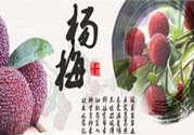 喉嚨痛可以吃楊梅嗎？喉嚨痛吃楊梅好嗎？
