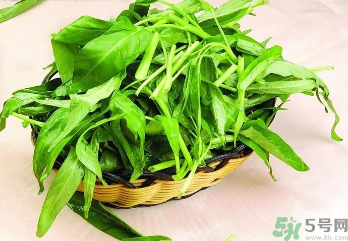 空心菜有什么功效？空心菜的功效是什么？