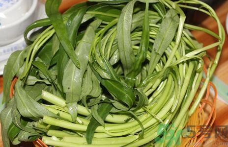 空心菜吃葉子還是吃桿？空心菜吃葉子好嗎？
