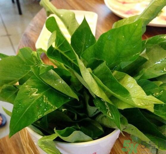 空心菜泡水了還能吃嗎？泡水的空心菜可以吃嗎？