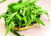吃空心菜有什么好處？多吃空心菜對身體好嗎？