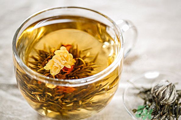 茉莉花綠茶加苦瓜能減肥嗎？茉莉花和苦瓜泡水喝嗎？