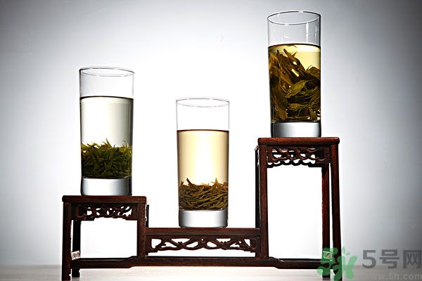 茯苓和苦丁茶能一起泡嗎？茯苓可以和苦丁茶一起喝嗎？