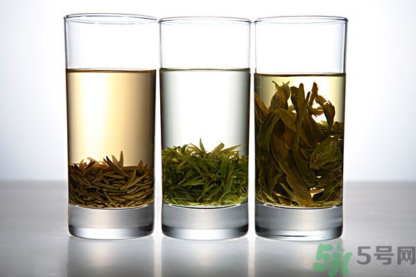 茯苓和苦丁茶能一起泡嗎？茯苓可以和苦丁茶一起喝嗎？