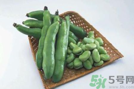 蠶豆是熱性還是涼性？蠶豆是熱性的嗎？