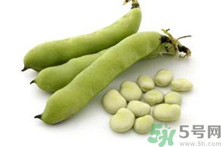 寶寶可以吃蠶豆嗎？寶寶多大可以吃蠶豆？