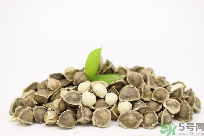 黃瓜和辣木籽能一起吃嗎？吃了黃瓜能吃辣木籽嗎？
