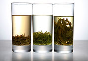 茯苓和苦丁茶能一起泡嗎？茯苓可以和苦丁茶一起喝嗎？