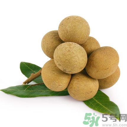 吃龍眼能夠補腦嗎？吃龍眼可以變聰明?