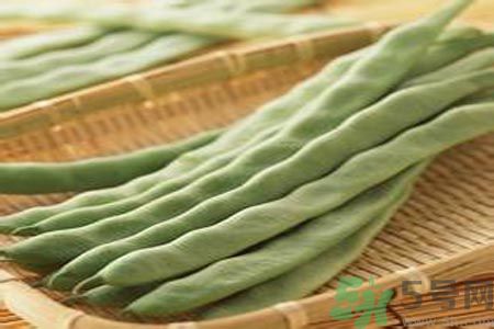四季豆是發(fā)物嗎？四季豆是不是發(fā)物？