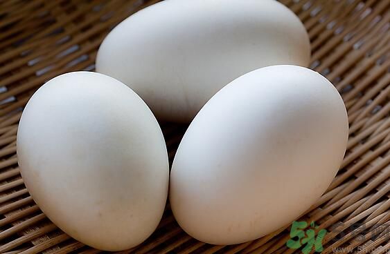 鵝蛋可以清火嗎？鵝蛋可以降火嗎？