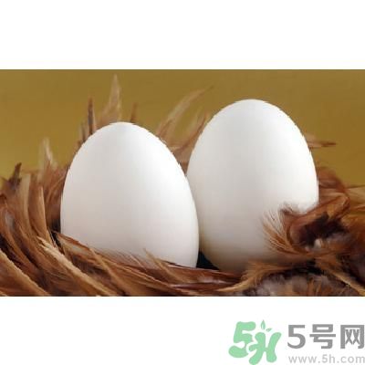 鵝蛋可以清火嗎？鵝蛋可以降火嗎？