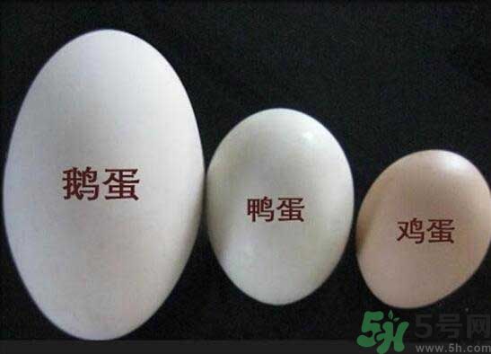 鵝蛋和鴨蛋哪個好？鵝蛋和鴨蛋哪個清火效果好？
