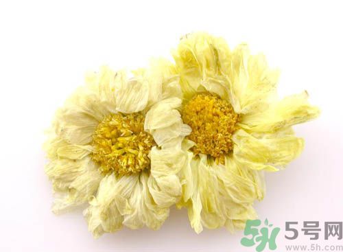 菊花晶能喝綠豆湯一起喝嗎？菊花晶和綠豆湯可以一起喝嗎？