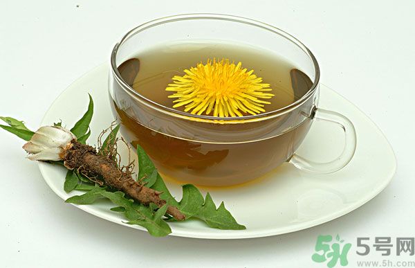 蒲公英根泡茶好還是蒲公英葉泡茶好？蒲公英根和葉哪個(gè)效果好？