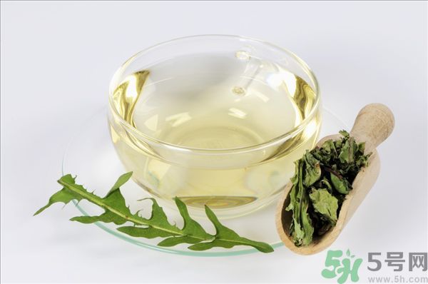 蒲公英根泡茶好還是蒲公英葉泡茶好？蒲公英根和葉哪個效果好？