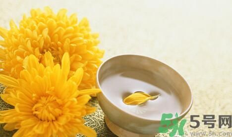 蒲公英可以祛痘嗎？蒲公英怎樣可以祛痘？