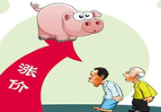 豬肉價(jià)格為什么驚動(dòng)世界？豬肉價(jià)格一直上漲的原因是什么？