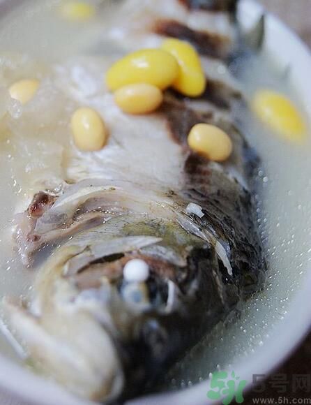 夏天吃黃豆好嗎？夏天吃黃豆有什么好處？