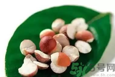 夏天吃芡實好嗎？夏天吃芡實有什么好處？