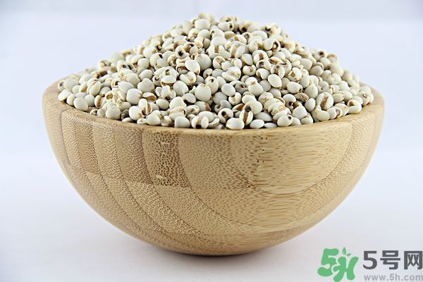 夏天吃薏米好嗎？夏天吃薏米有什么好處？