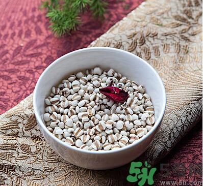 夏天吃薏米好嗎？夏天吃薏米有什么好處？