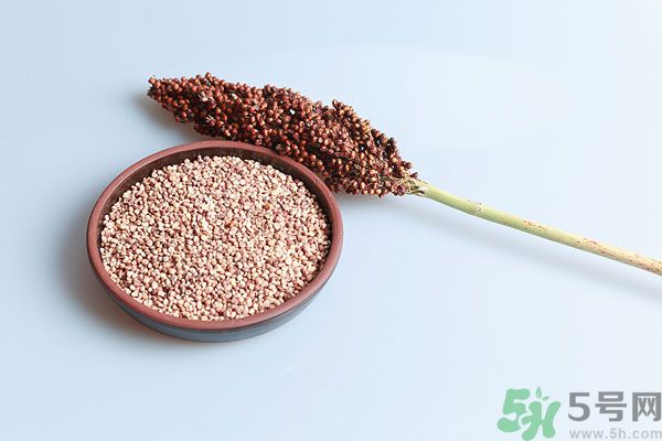 夏天吃高粱好嗎？夏天吃高粱有什么好處？