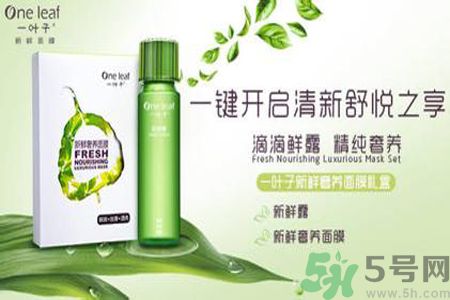 一葉子鮮補(bǔ)水保濕眼霜適合什么膚質(zhì)？