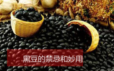 黑豆有助于懷孕嗎 黑豆怎么吃對卵泡發(fā)育好