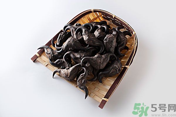 孕婦可以吃菱角嗎？孕婦吃菱角好嗎？