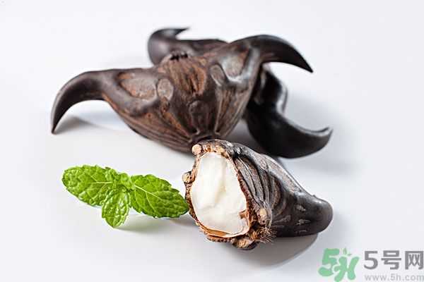 寶寶可以吃菱角嗎？寶寶多大可以吃菱角？