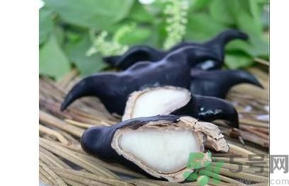菱角怎么剝完整？菱角剝不開怎么辦？